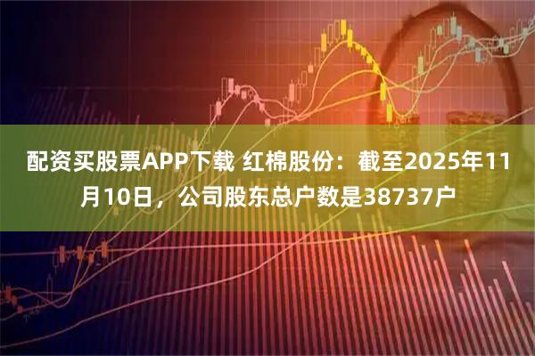 配資買股票APP下載 紅棉股份：截至2025年11月10日，公司股東總戶數是38737戶
